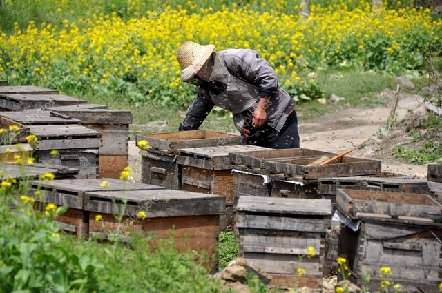 Trung Quốc đang nuôi hơn 1,4 tỷ dân của mình như thế nào? (Phần 1) - Ảnh 17.