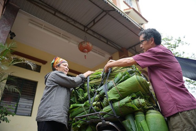  Nghề độc ở Hà Nội: Bán lá chuối rừng, kiếm hàng chục triệu đồng mỗi tháng - Ảnh 11.