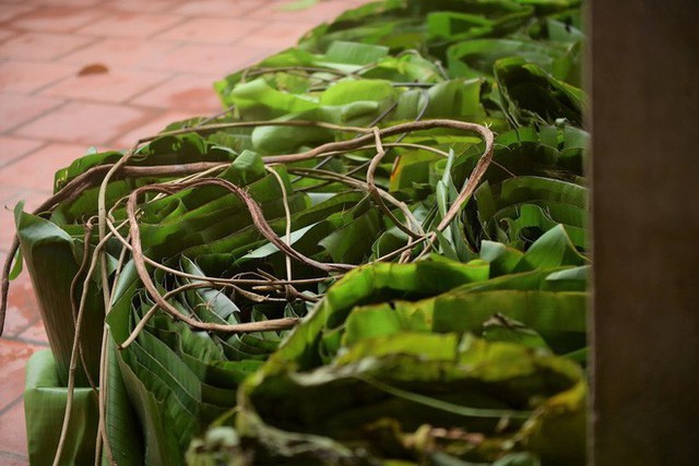 Nghề độc ở Hà Nội: Bán lá chuối rừng, kiếm hàng chục triệu đồng mỗi tháng - Ảnh 9. Nghề độc ở Hà Nội: Bán lá chuối rừng, kiếm hàng chục triệu đồng mỗi tháng - Ảnh 9.