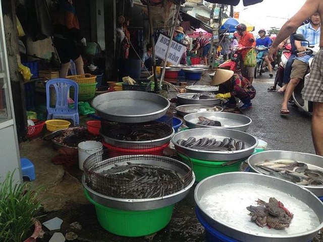 Sợ dịch tả, dân Sài Gòn chuyển sang ăn con hai chân, đang bơi - Ảnh 1. Sợ dịch tả, dân Sài Gòn chuyển sang ăn con hai chân, đang bơi - Ảnh 1.