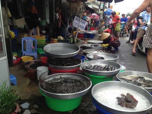 Sợ dịch tả, dân Sài Gòn chuyển sang ăn con hai chân, đang bơi - Ảnh 1.