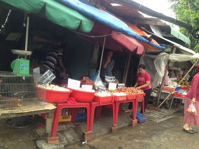 Sợ dịch tả, dân Sài Gòn chuyển sang ăn con hai chân, đang bơi - Ảnh 3.