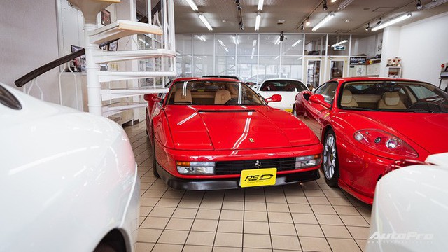 Mr. Ferrari - Từ tay chơi siêu xe tới cha đỡ đầu của ‘ngựa chồm’ tại Nhật Bản - Ảnh 17. Mr. Ferrari - Từ tay chơi siêu xe tới cha đỡ đầu của ‘ngựa chồm’ tại Nhật Bản - Ảnh 17.