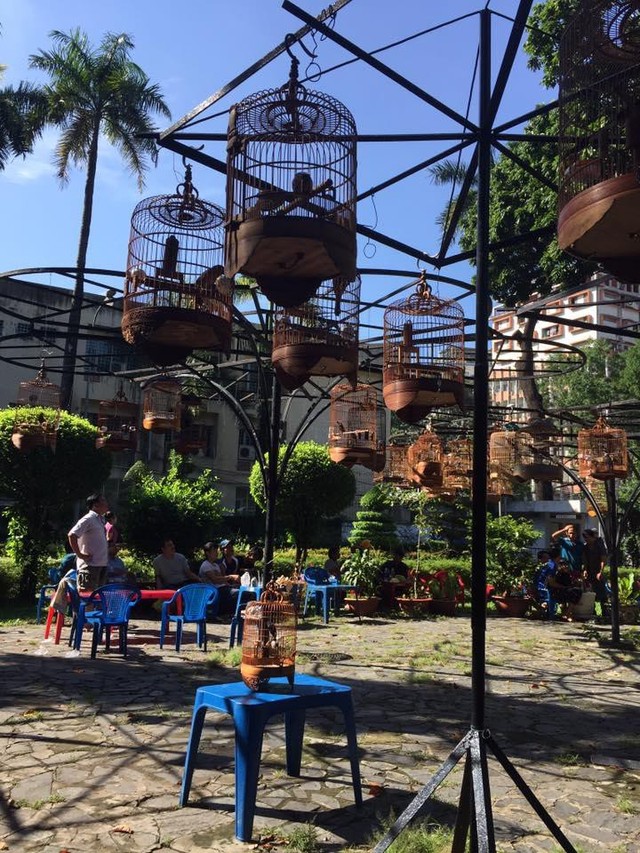 Một vòng du lịch quanh Sài Gòn: Quán cà phê chim độc đáo trong mắt du khách Australia  - Ảnh 1.
