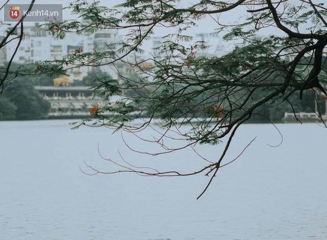 Chiều chiều đảo vài vòng giữa phố xá Hà Nội mà ngỡ như cuối Đông - Tết sắp về - Ảnh 10.