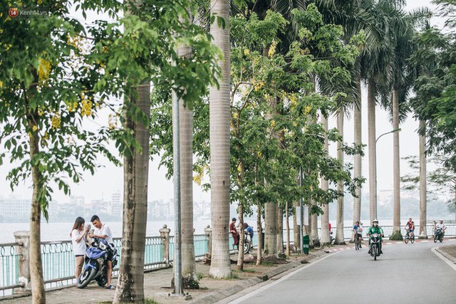 Chùm ảnh: Hà Nội và bản tình ca của những loài hoa mùa hạ thay nhau khoe sắc trên phố - Ảnh 21.