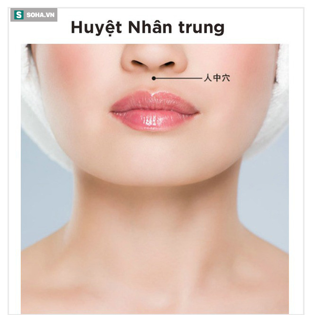  Bài bấm huyệt thông 7 lỗ làm khỏe nội tạng nổi tiếng Đông y: 5 phút để khỏe mạnh ít bệnh - Ảnh 3.