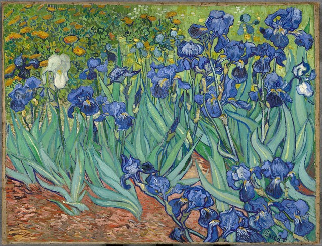 [Chuyện đẹp] Nỗi buồn của Van Gogh - Ảnh 2.