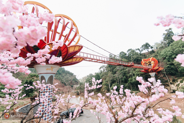Tranh cãi xoay quanh yếu tố thẩm mỹ của cây cầu 5D đang gây sốt ở Mộc Châu: Khen đẹp thì ít nhưng chê bai sến súa, lạc lõng nhiều vô kể - Ảnh 34.