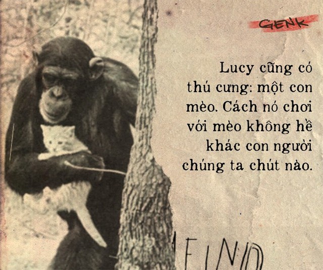 Câu chuyện đau lòng về Lucy, con tinh tinh vẫn tưởng mình là người - Ảnh 6.