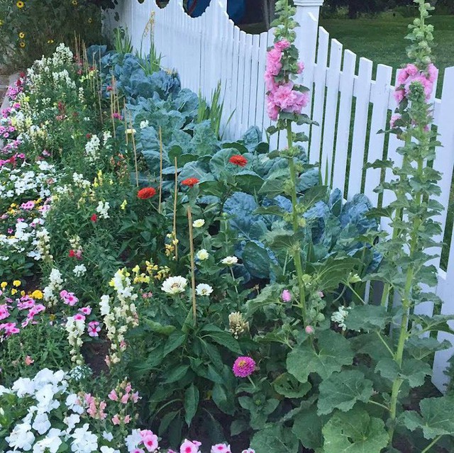 Cuộc sống vô cùng yên bình của cặp vợ chồng cùng 4 con trai bên khu vườn đầy hoa và rau  - Ảnh 11.