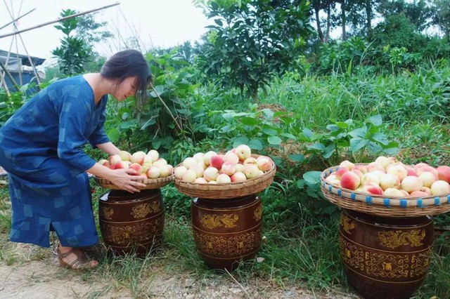 Nữ giám đốc doanh nghiệp quyết định sống cho bản thân sau 40 tuổi bằng cách nghỉ việc về quê trồng hoa - Ảnh 22.