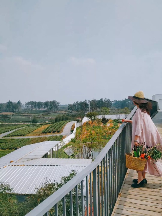 Nữ giám đốc doanh nghiệp quyết định sống cho bản thân sau 40 tuổi bằng cách nghỉ việc về quê trồng hoa - Ảnh 10.