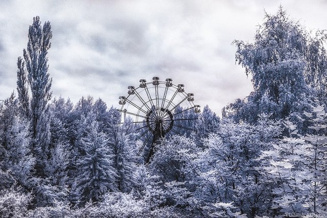 Từ vùng đất ma không ai dám bén mảng, nhà máy điện hạt nhân Chernobyl bỗng hóa xứ sở thần tiên đẹp lịm tim qua lăng kính của nhiếp ảnh gia - Ảnh 19.