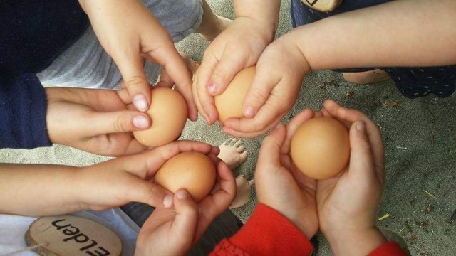 Khu vườn quá đỗi thơ mộng với hoa và rau quả của người mẹ đơn thân cùng cô con gái nhỏ xinh đẹp - Ảnh 26. Khu vườn quá đỗi thơ mộng với hoa và rau quả của người mẹ đơn thân cùng cô con gái nhỏ xinh đẹp - Ảnh 26.