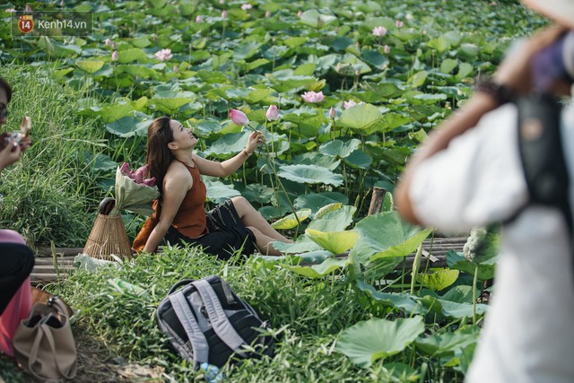 Đầm sen ở Nhật Tân có gì hot mà người dân Hà Nội ùn ùn kéo đến, lội xuống hồ chụp ảnh mỗi ngày? - Ảnh 13.