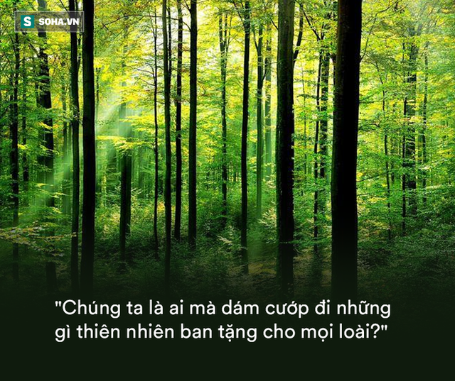  Những số liệu rùng mình: Chúng ta đang sống hay đang hủy hoại cuộc sống? (P1) - Ảnh 1.