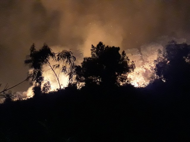 Đang cháy dữ dội rừng thông tại Hà Tĩnh, khẩn cấp di dời hơn 80 hộ dân - Ảnh 1.
