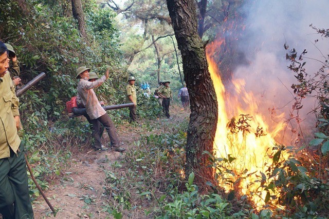 20 tiếng dầm mình trong biển lửa cứu rừng ngùn ngụt cháy ở Hà Tĩnh - Ảnh 4.