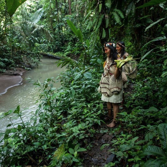 Những thổ dân Amazon vừa chặn được tập đoàn dầu mỏ khổng lồ đến phá rừng: Nguồn cảm hứng bảo vệ môi trường lan tỏa khắp Nam Mỹ - Ảnh 1.