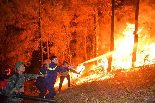 Tạm giữ một đối tượng nghi gây cháy rừng ở Nghi Xuân - Ảnh 1.