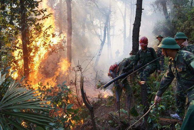 Cháy rừng ở Hà Tĩnh: Đổ cát, tưới nước lên nắp bể xăng hàng chục nghìn lít tránh cháy nổ - Ảnh 2.