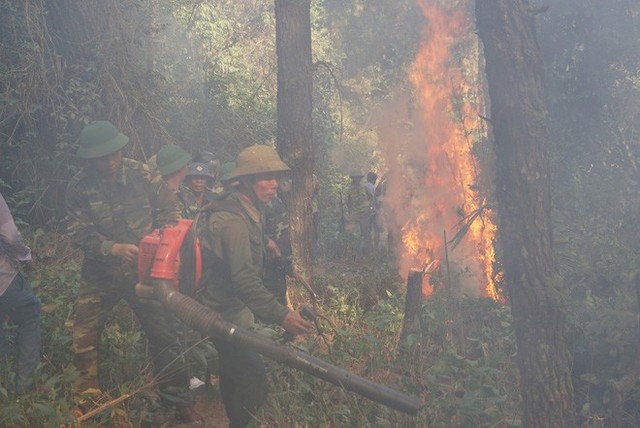 Cháy rừng ở Hà Tĩnh: Đổ cát, tưới nước lên nắp bể xăng hàng chục nghìn lít tránh cháy nổ - Ảnh 3.