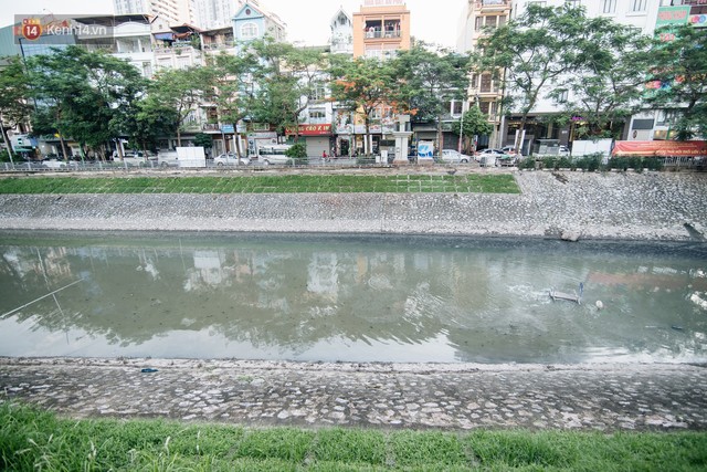 Sông Tô Lịch đổi màu sau khi làm sạch bằng công nghệ Nhật Bản: Hoa lau xanh mướt, người dân thư thả câu cá - Ảnh 3.