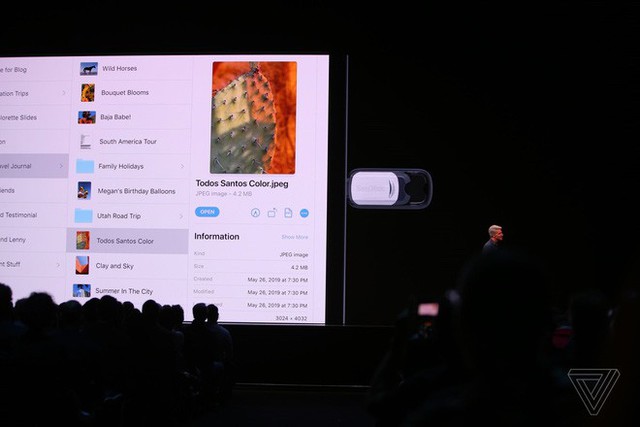 Apple ra mắt iPadOS dành riêng cho iPad: Giao diện màn hình chính mới, hỗ trợ ổ cứng USB, download tập tin bằng Safari, đa nhiệm tốt hơn - Ảnh 3.