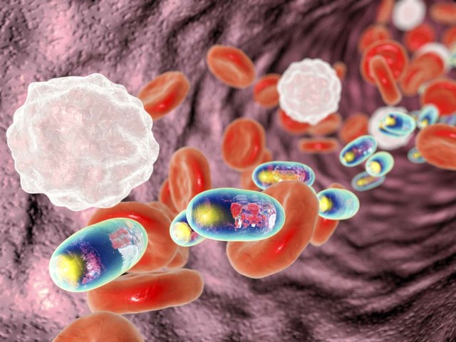 Tiêu diệt tế bào ung thư bằng phân tử nano từ lá trà - Hy vọng mới cho những người đang điều trị ung thư phổi - Ảnh 1.