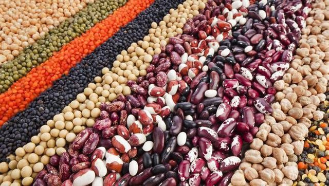 Đi tìm sự thật về thần dược Flavonoid: Chữa nhiều loại ung thư, kể cả giai đoạn cuối? - Ảnh 4.