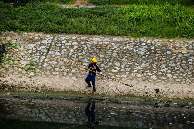  Sau khi xả nước hồ Tây vào sông Tô Lịch, thấy cá chết hàng loạt  - Ảnh 4.