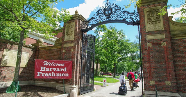 Vỡ mộng Harvard: Bệnh thành tích, nạn “cha truyền con nối”, phân biệt giới tính, sinh viên không hẹn hò vì thiếu kỹ năng - Ảnh 1.