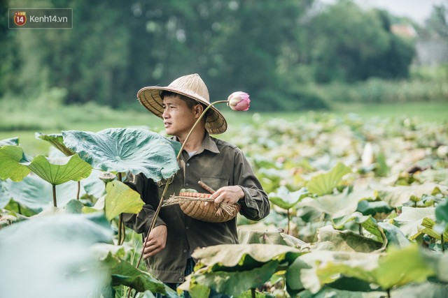 Cử nhân báo chí khởi nghiệp trà sen với 20 triệu mẹ dành mua xe máy: Con không thích đi làm, con muốn về nhà - Ảnh 1.