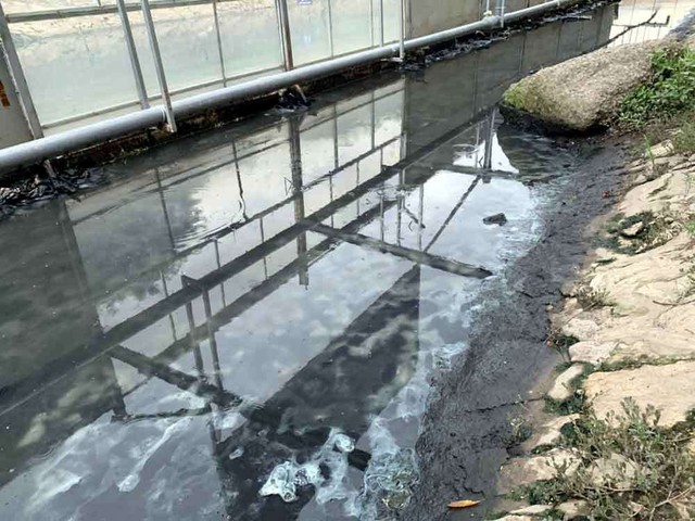 Sông Tô Lịch nước trong, nhìn rõ đáy bùn đang phân hủy nhờ công nghệ Nhật - Ảnh 2.