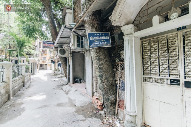 Kỳ lạ cây xanh mọc xuyên những căn nhà trong khu tập thể 60 năm tuổi ở Hà Nội - Ảnh 15.