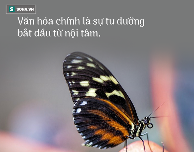 Cho người hát rong 5 đồng lẻ, con trai phải xấu hổ vì việc làm của mẹ mình ngay sau đó - Ảnh 2. Cho người hát rong 5 đồng lẻ, con trai phải xấu hổ vì việc làm của mẹ mình ngay sau đó - Ảnh 2.