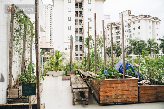 Ở Hà Nội có một ngôi trường không bao giờ thả bóng bay ngày khai giảng, học sinh có hàng loạt dự án biến chai nhựa thành gạch xây trường - Ảnh 6.
