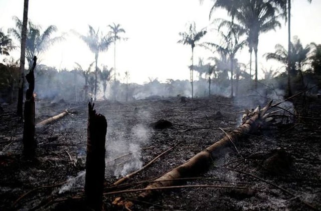 Những hình ảnh đau đớn vì cháy rừng Amazon - Ảnh 4.