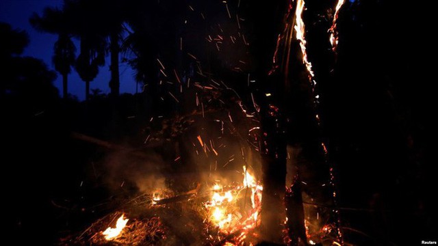  Cháy rừng Amazon tàn phá trái đất như vũ khí huỷ diệt hàng loạt - Ảnh 1.