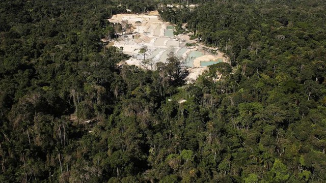 Thợ mỏ trái phép, nông dân và khai thác tài nguyên của Brazil: Những thế lực đang âm thầm phá hủy lá phổi xanh Amazon - Ảnh 3.