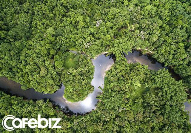 Thợ mỏ trái phép, nông dân và khai thác tài nguyên của Brazil: Những thế lực đang âm thầm phá hủy lá phổi xanh Amazon - Ảnh 1.