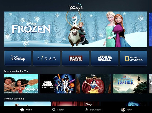 Disney Plus và tham vọng thay thế Netflix trên thị trường truyền hình trực tuyến - Ảnh 2.