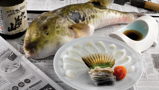 7,5 triệu đồng/100g thịt, ai mà ngờ loại cá vừa xấu xí vừa cực độc này lại đáng giá ở Nhật Bản đến thế - Ảnh 1.