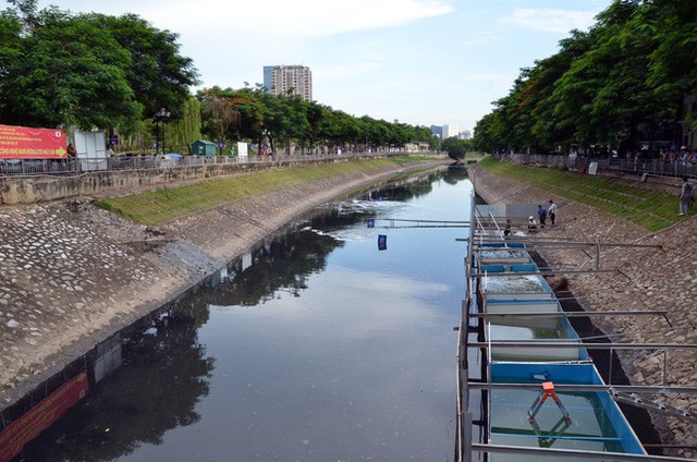 Cận cảnh chuyên gia Nhật Bản tắm nước sông Tô Lịch - Ảnh 9.