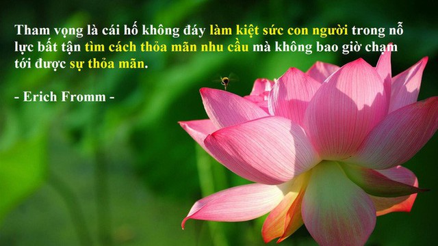 Định giá Vương quốc bằng chén gạo, ông Vua tham lam bị kẻ bán ngựa dạy cho bài học nhớ đời - Ảnh 4.