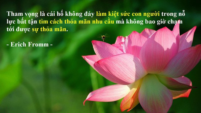  Định giá Vương quốc bằng chén gạo, ông Vua tham lam bị kẻ bán ngựa dạy cho bài học nhớ đời - Ảnh 4.