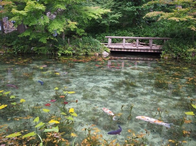 Nếu đến Nhật Bản, đừng quên ghé thăm hồ nước trong vắt, đẹp như bức tranh thủy mặc này - Ảnh 3.
