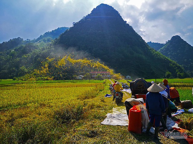 Cảnh sắc đẹp nhất thế giới mỗi năm 1 lần chỉ có ở Việt Nam - Ảnh 14.