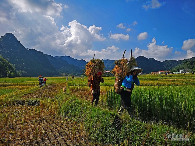 Cảnh sắc đẹp nhất thế giới mỗi năm 1 lần chỉ có ở Việt Nam - Ảnh 15.